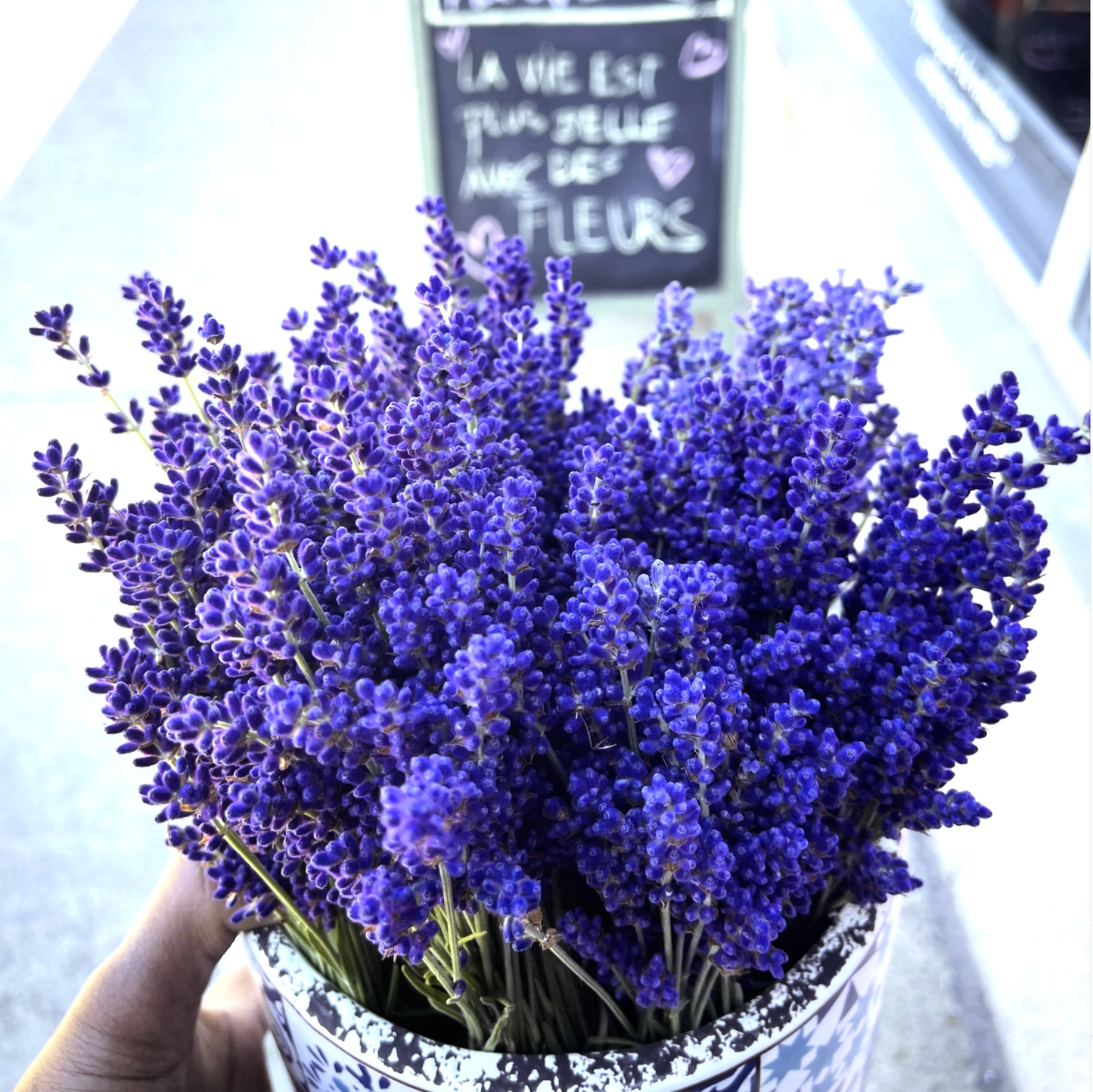Brins de Provence